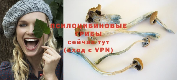 МДМА Богданович