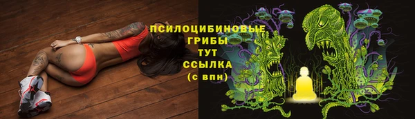 прущая мука Богородицк
