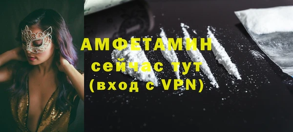 дживик Бородино