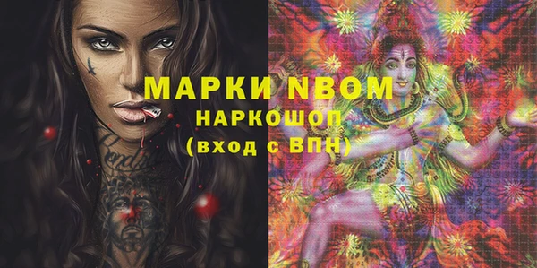 дживик Бородино