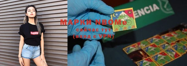 сатива Бронницы