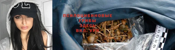 дживик Бородино