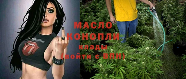 сатива Бронницы